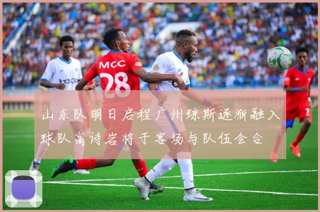 山东队明日启程广州琼斯逐渐融入球队高诗岩将于客场与队伍会合